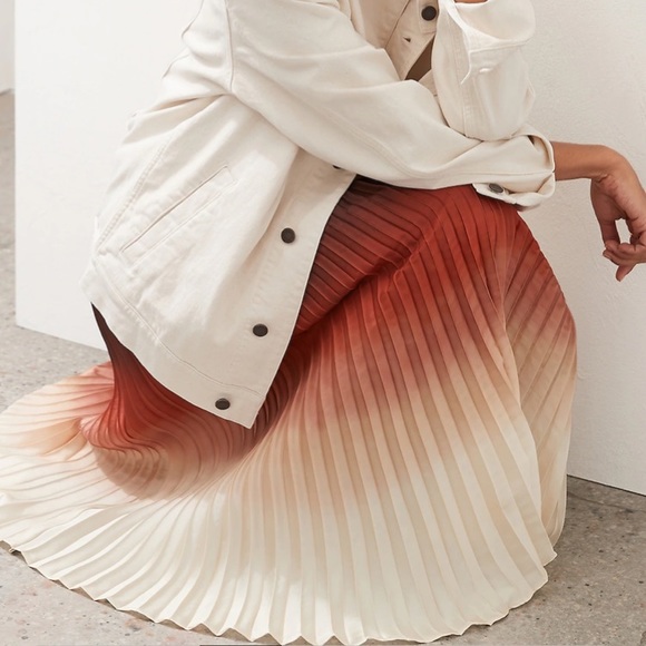 SOLD SOLD SOLD NWT Banana Republic Archive Ombre Silk Pleated Midi Skirt XSP - Picture 4 of 16